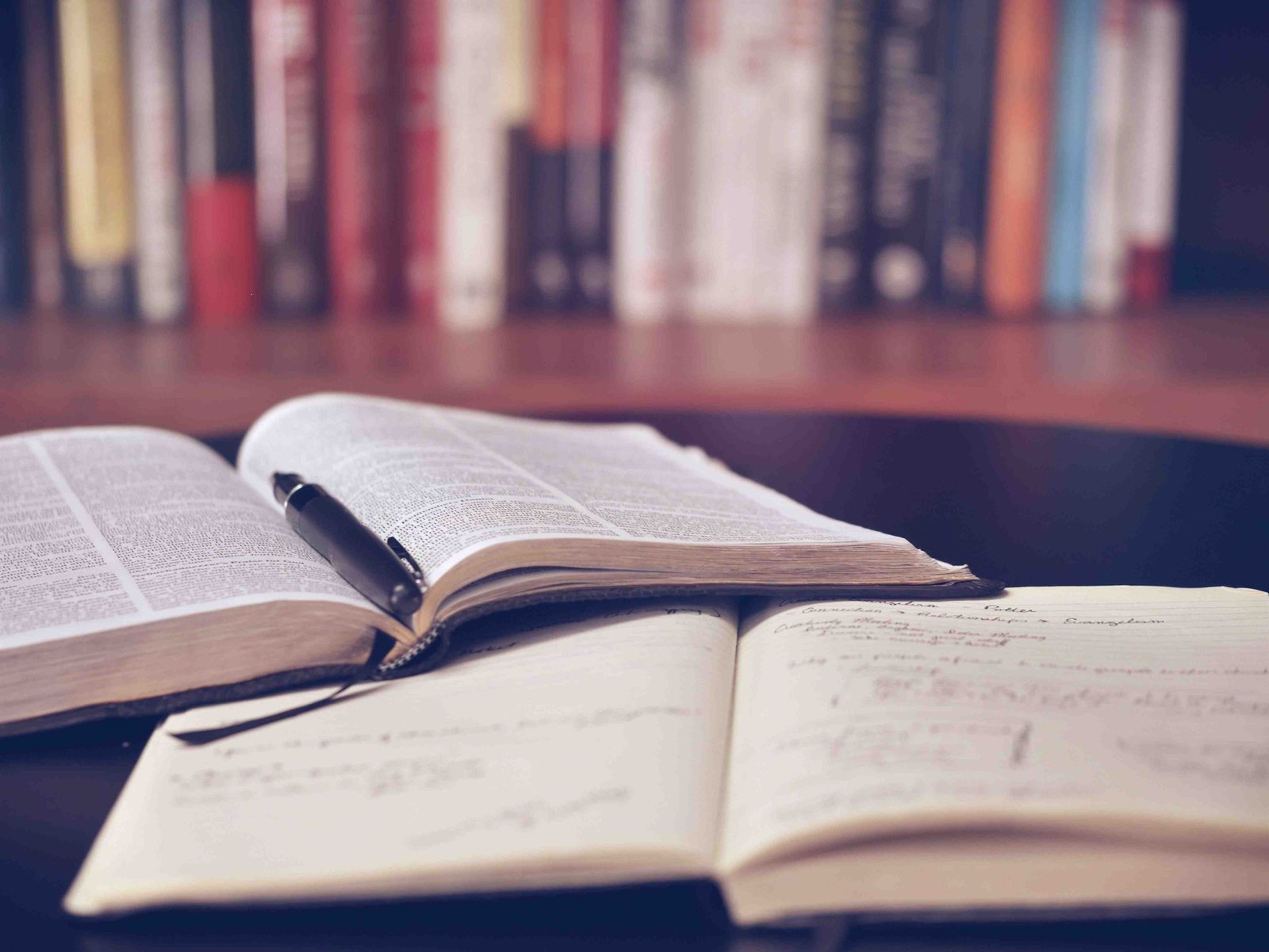 literature review